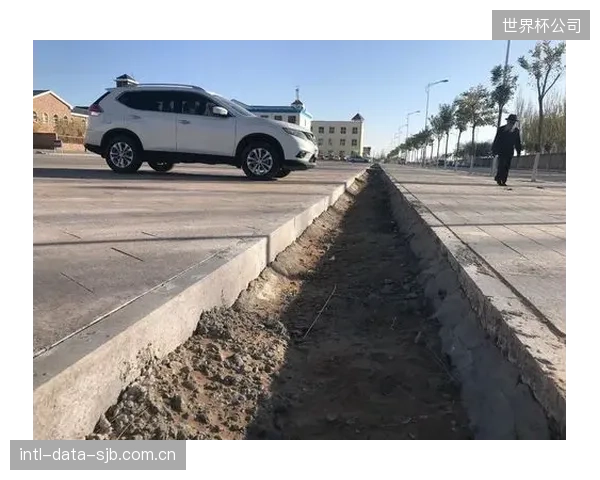 AsylonDroneDog的全天候巡检闭环，解决了大型体育场馆停车场因视觉盲区导致的多发性盗窃问题